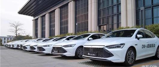 BYD, Weilai, Tucki, Ai 'an, Dolphin