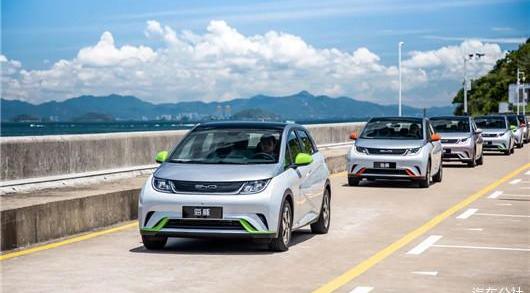 BYD, Weilai, Tucki, Ai 'an, Dolphin