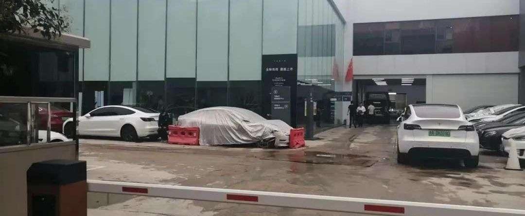 Tesla, Model Y, Tucki, Weilai, Beijing