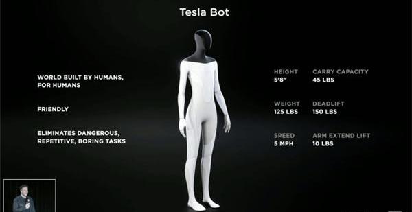 Tesla, Mann