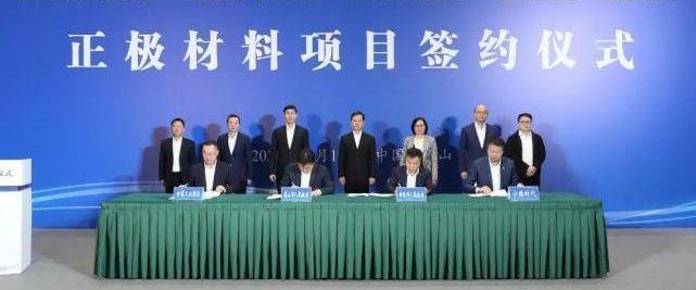 BYD, Tengshi, Aeon, Toyota, Tesla