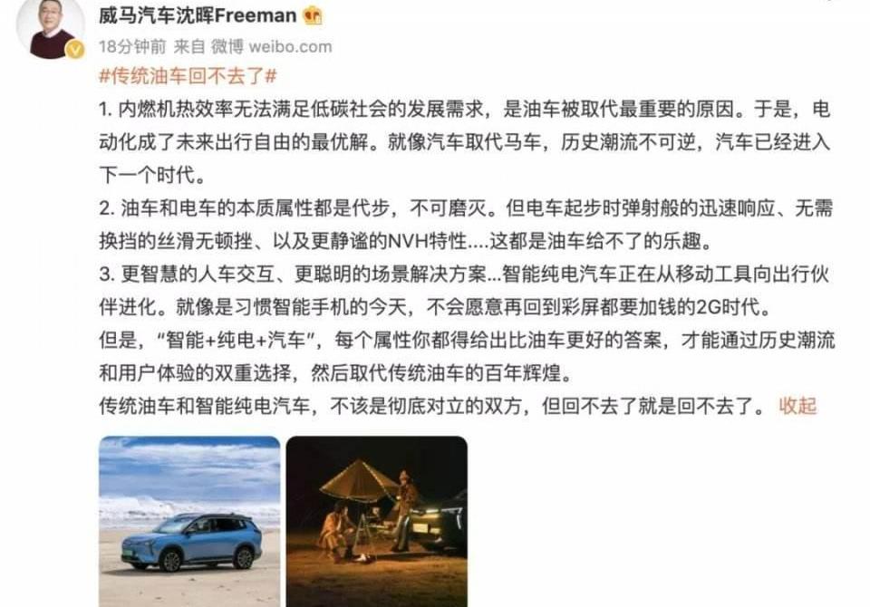 BMW, Volkswagen, Weilai, Mercedes-Benz, Toyota