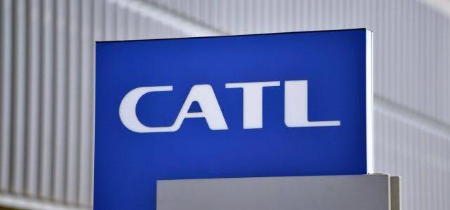 BMW, BYD, Volkswagen, Ford, Tesla