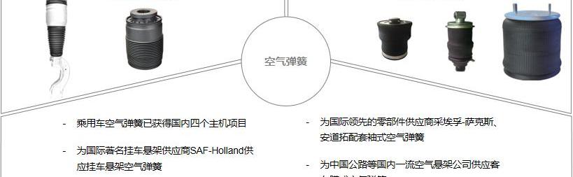 Weilai, Hongqi, Krypton, Great Wall, Audi