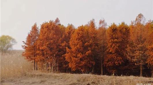 Qijun, discovered in the southeast