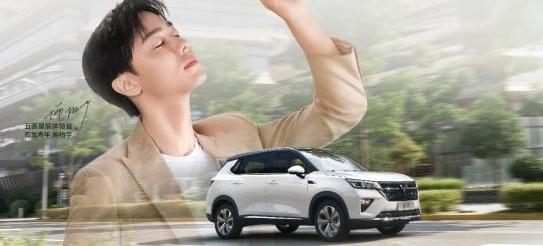 Wuling star, idea, public