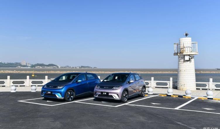 dolphin, BYD, idea, discovery