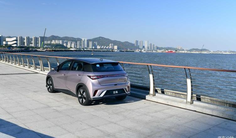 dolphin, BYD, idea, discovery