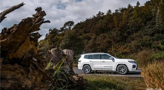 Jeep, herdsman, Tesla, Volkswagen, Toyota 