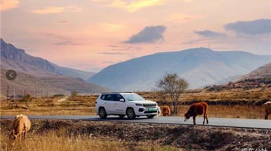Jeep, herdsman, Tesla, Volkswagen, Toyota 