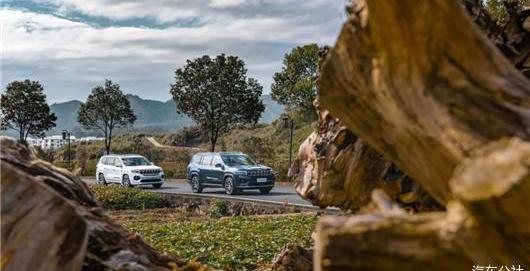 Jeep, herdsman, Tesla, Volkswagen, Toyota 