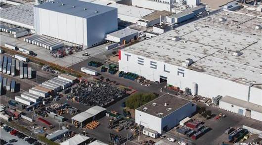 Tesla, camel