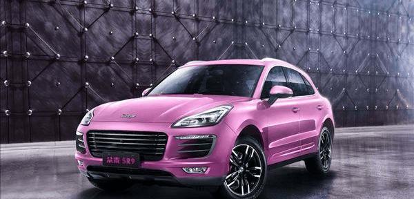 Zotye, Gun
