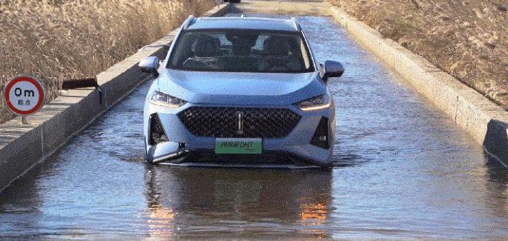 Macchiato DHT-PHEV, Macchiato DHT, Wei Brand, Great Wall