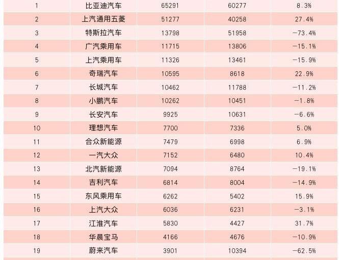 BYD, Tesla, MINI, Tucki, sihao