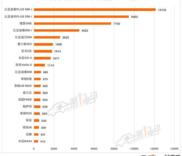 BYD, Tesla, MINI, Tucki, sihao