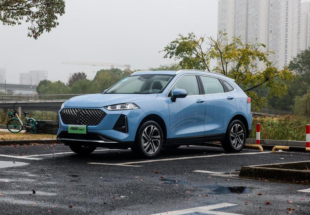 Aouita, Hechuang, Tucki, Guangzhou Automobile Group, Tesla