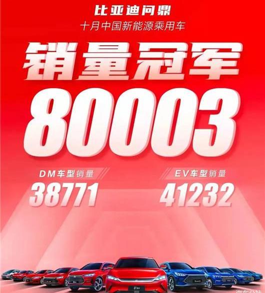 BYD, Tesla, MINI, Weilai, Tucki