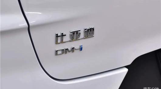 BYD, Tesla, MINI, Weilai, Tucki