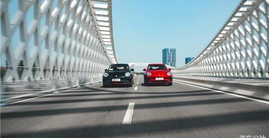 Euler, Great Wall, BYD, Haval, Chang 'an