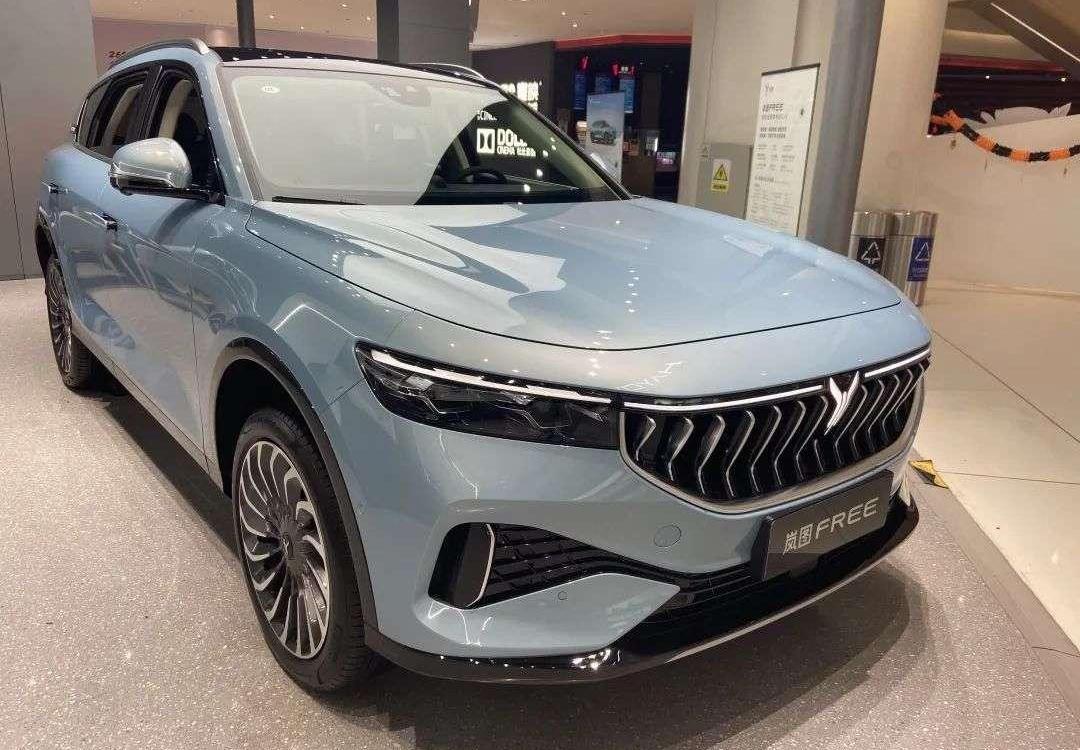 Volkswagen, BYD, Dolphin, Beijing, FAW