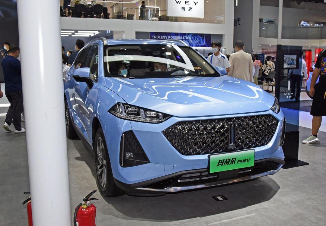 Tesla, Great Wall, Baojun, Toyota, Man