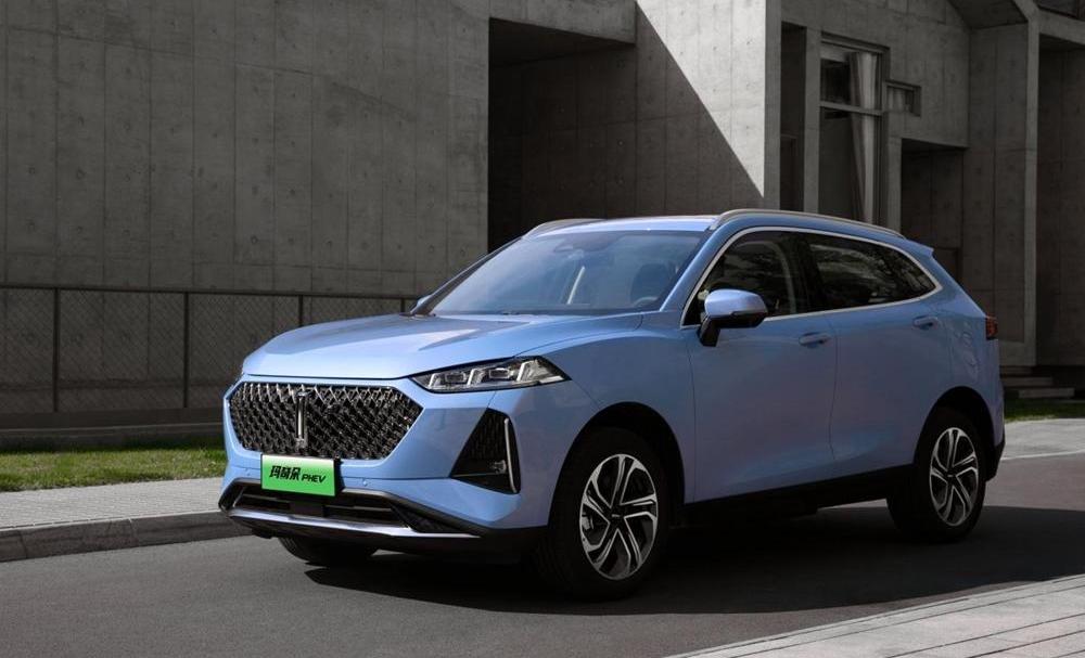 Great Wall, Haval, Wei Brand, Euler, Tank