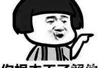 Tucki, Janice, Tesla, Janice G70, Great Wall