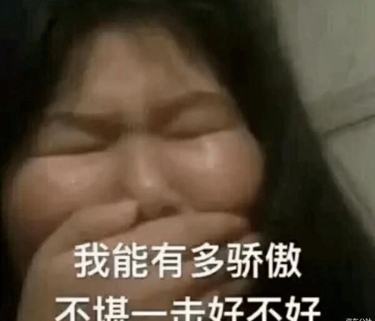 Tucki, Janice, Tesla, Janice G70, Great Wall