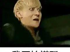 Tucki, Janice, Tesla, Janice G70, Great Wall