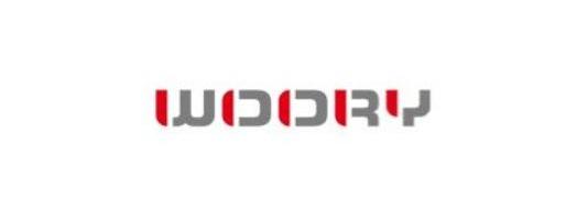 Hyundai, BMW, Kia, Tesla