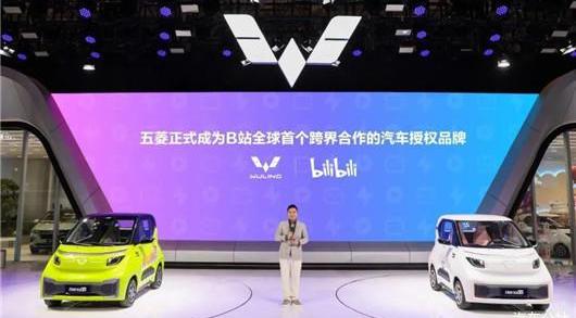 MINI, baojun, Hongguang MINIEV, Chery, Euler 