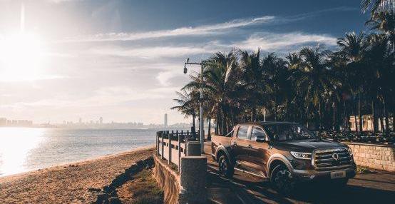 Gun, Great Wall, Toyota, Ford