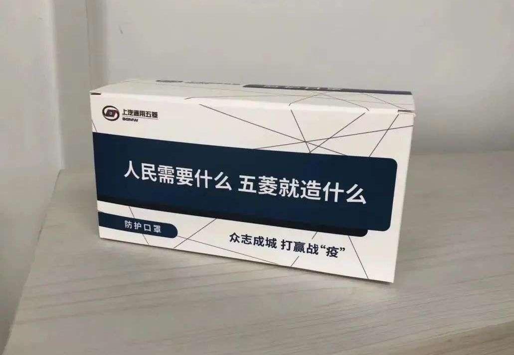 MINI, Wuling automobile, Tesla, Wuling light, BMW 
