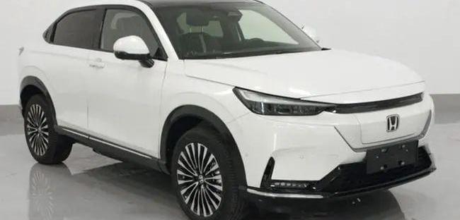 Honda, Tesla, Hyundai, Great Wall, Euler