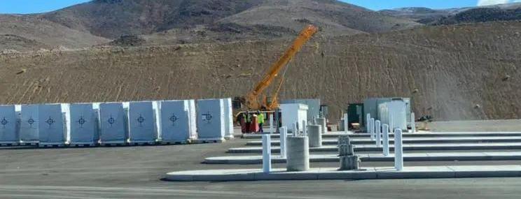 Honda, Tesla, Hyundai, Great Wall, Euler