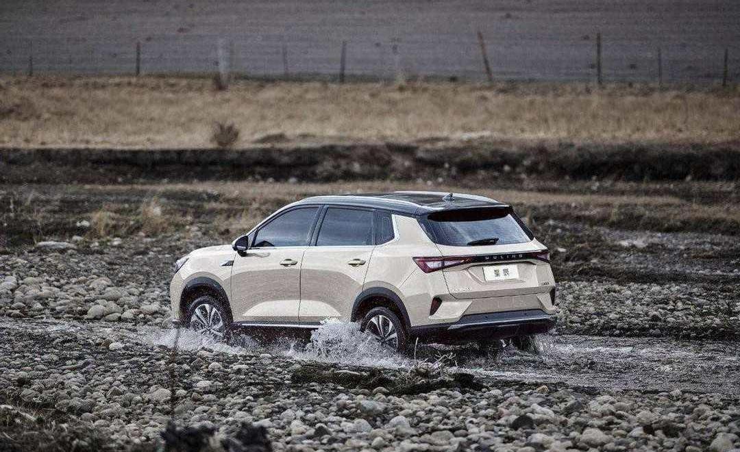 Wuling star