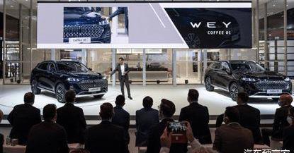 Wei brand, Mocha, Great Wall, concept