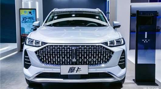 Wei brand, Great Wall, Mocha, concept