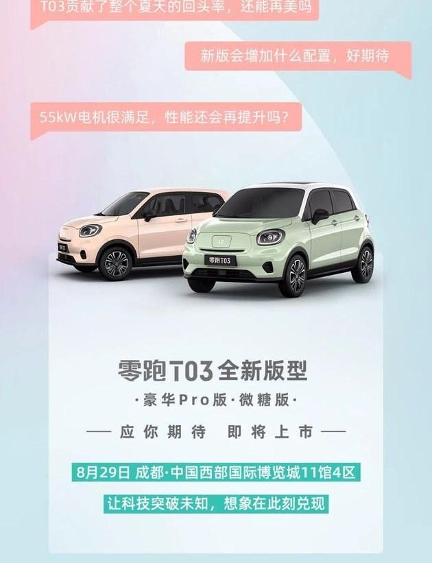 Tesla, FF 91, Zero Run T03, Euler Good Cat, Euler