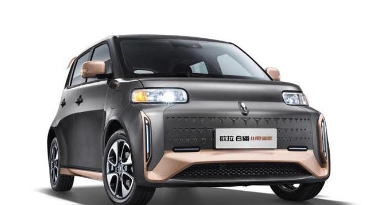 Tesla, Euler, Zotye, Ford, Jidu