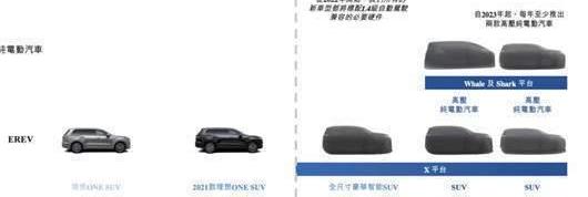 LI, Tucki, Tesla, Weilai, Li ONE