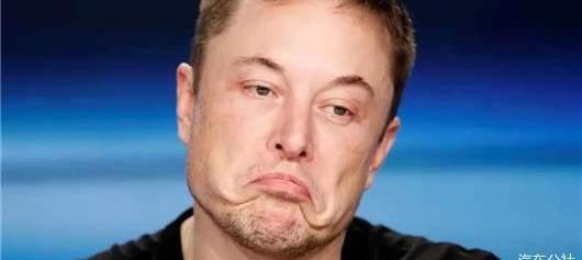 Tesla, Weilai, Tucki, Toyota, Model 3