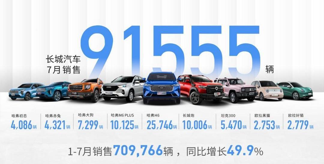Great Wall, Haval, Euler, tanks, guns
