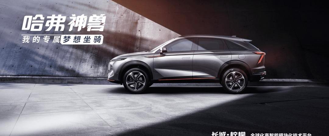 Great Wall, Haval, Euler, tanks, guns