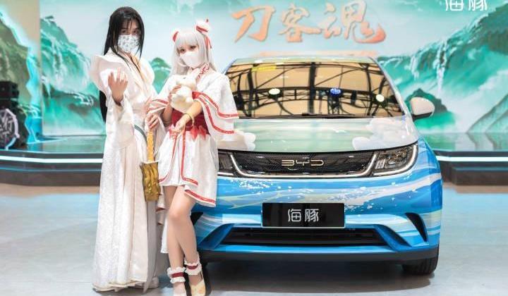 Tesla, Tucki, BYD, LI and Nezha