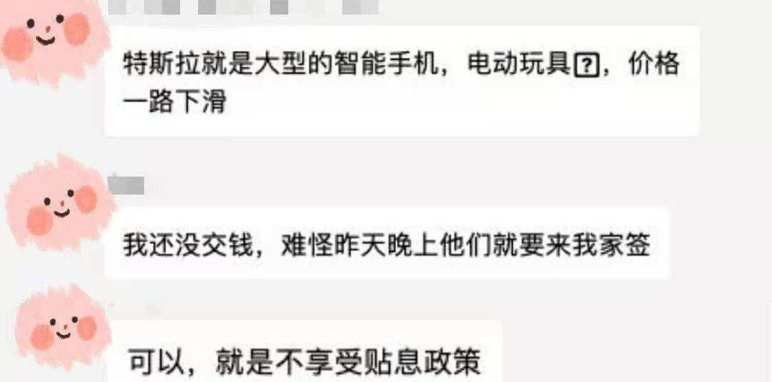 Tesla, Model 3, Han, BYD, Tucki