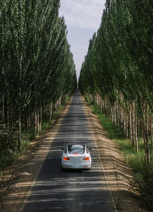 Tesla, Beijing, Century, Concept