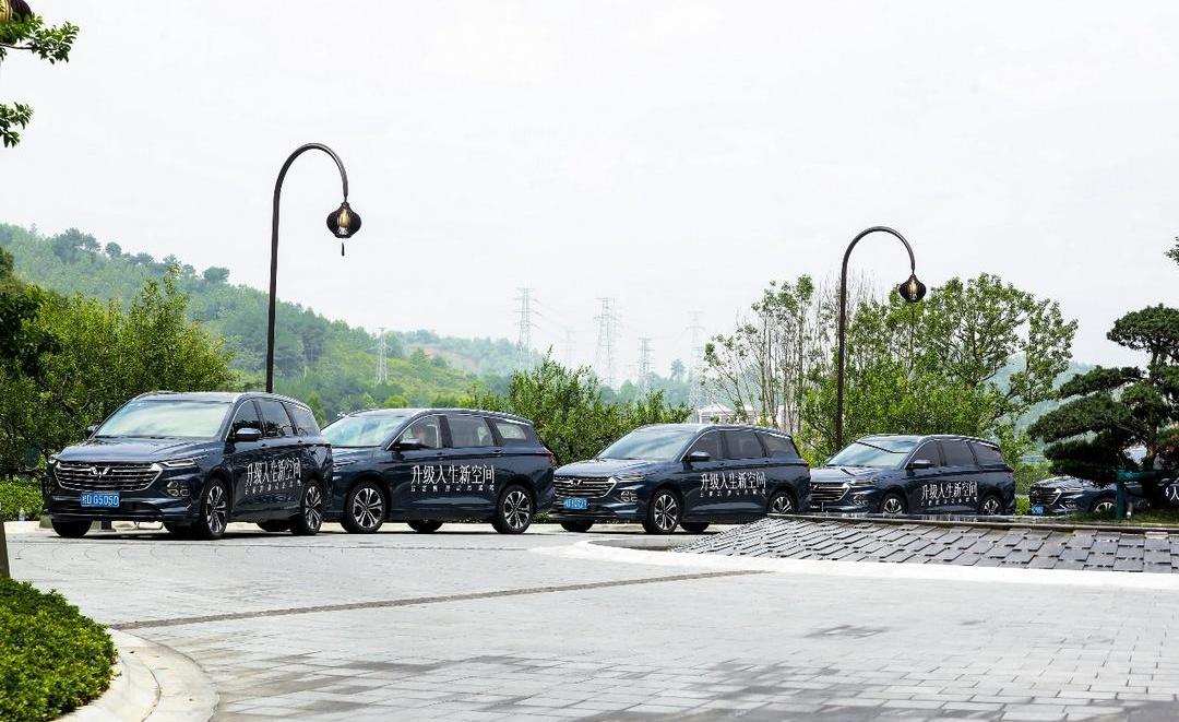 Wuling capgemini