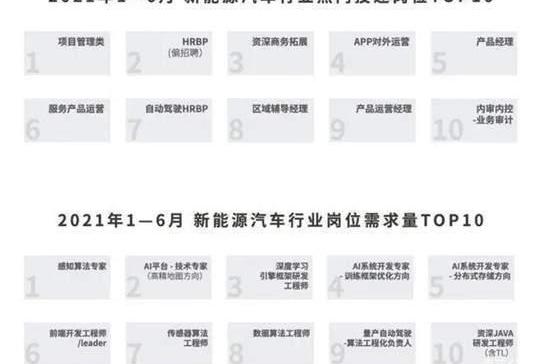 Great Wall, Weilai, Aichi, Haval, Geely Automobile